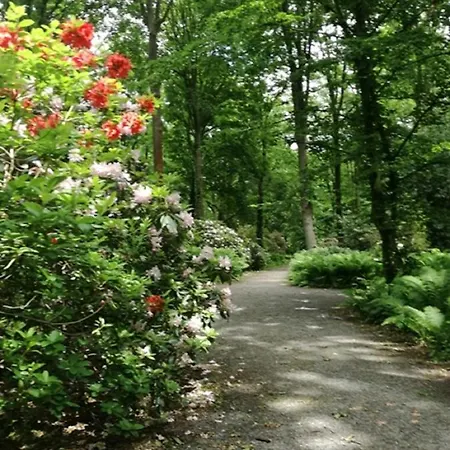 Daire Am Kurpark