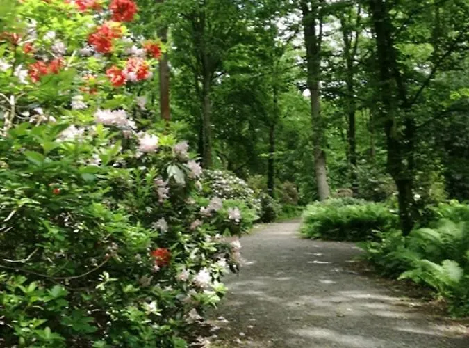 Appartement Am Kurpark